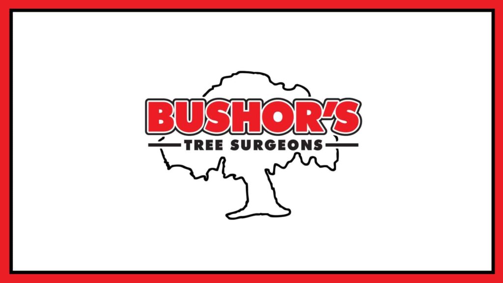 bushor-s-tree-surgeons
