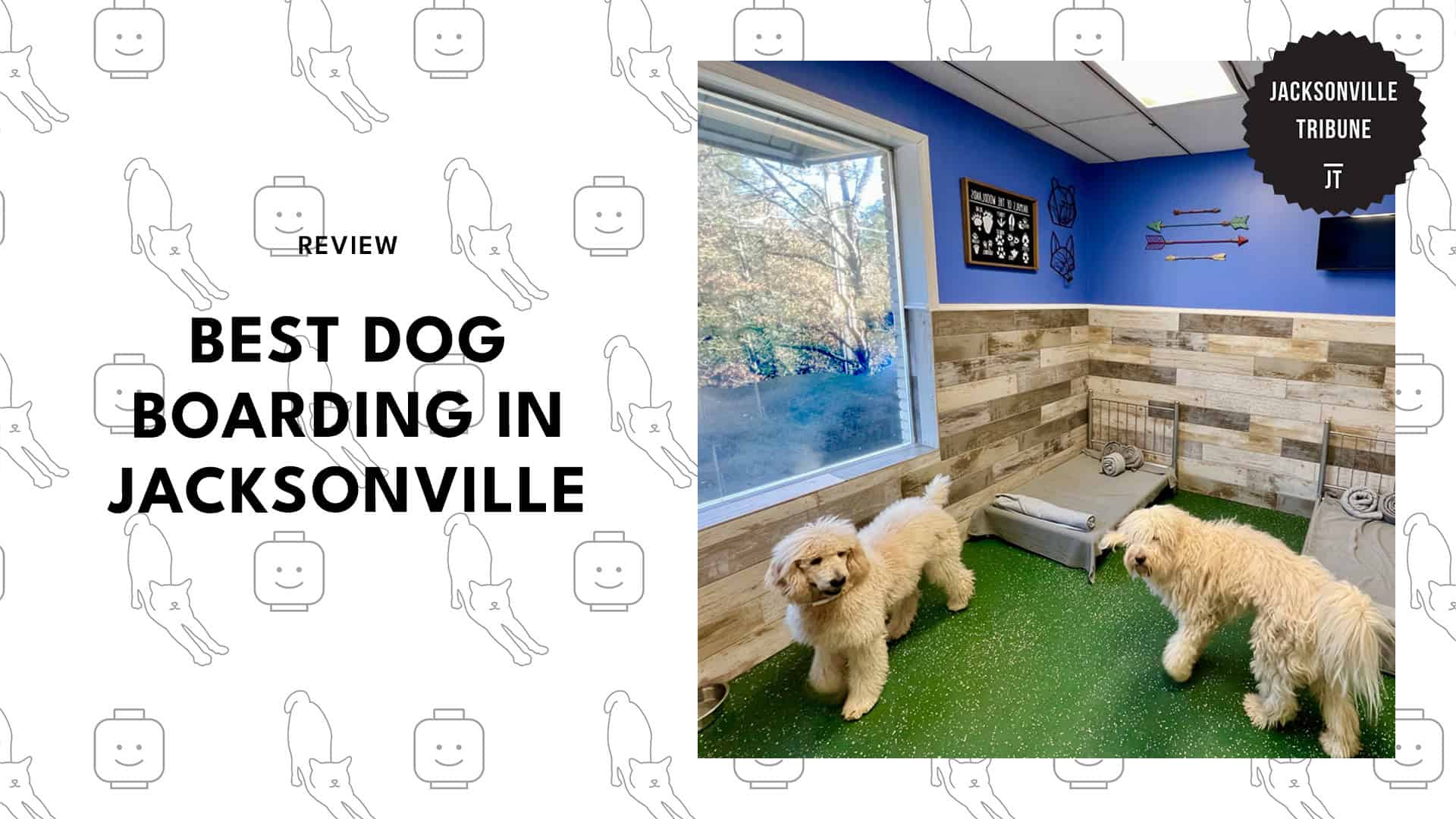 dog-boarding-in-jacksonville