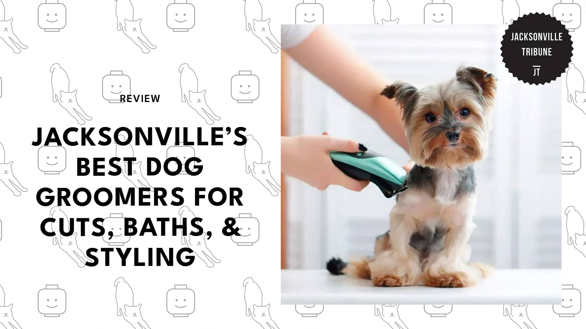 dog-grooming-in-jacksonville