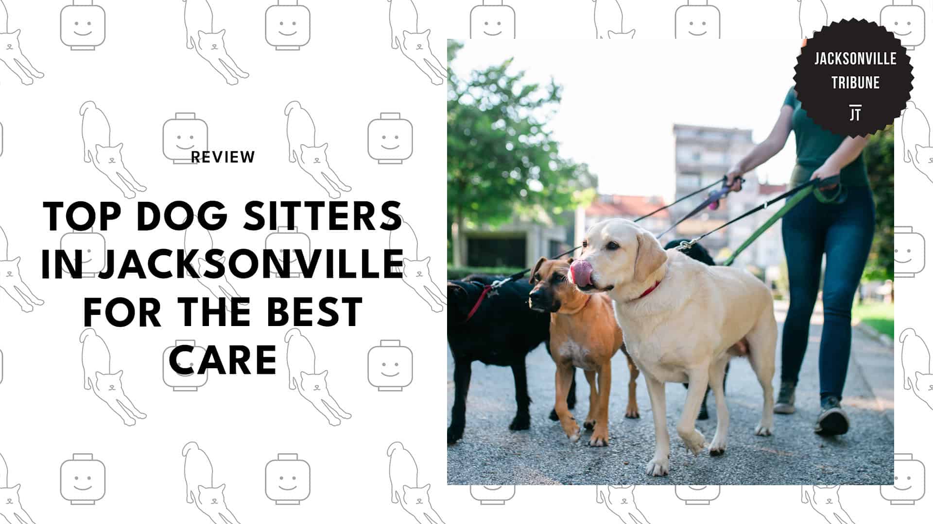 dog-sitter