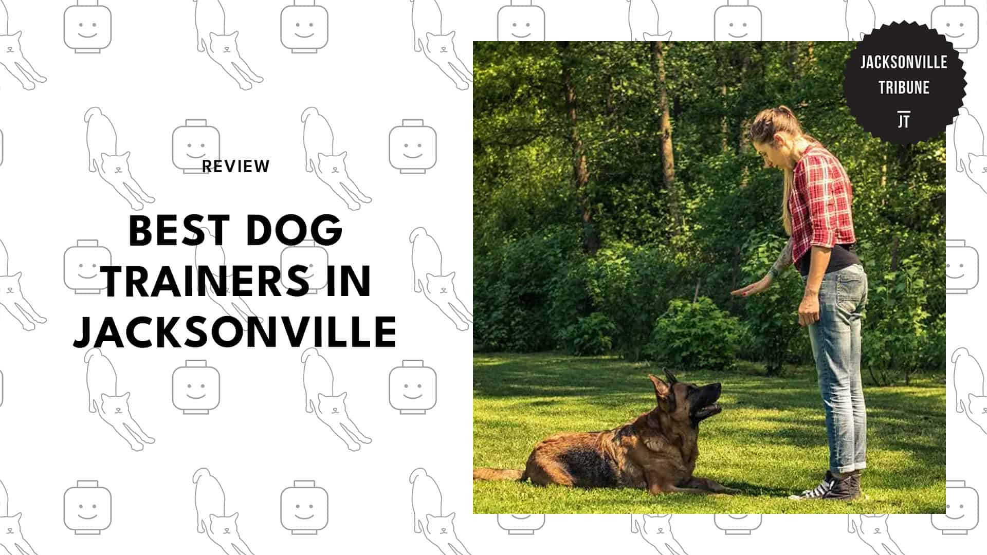 dog-trainers-in-jacksonville