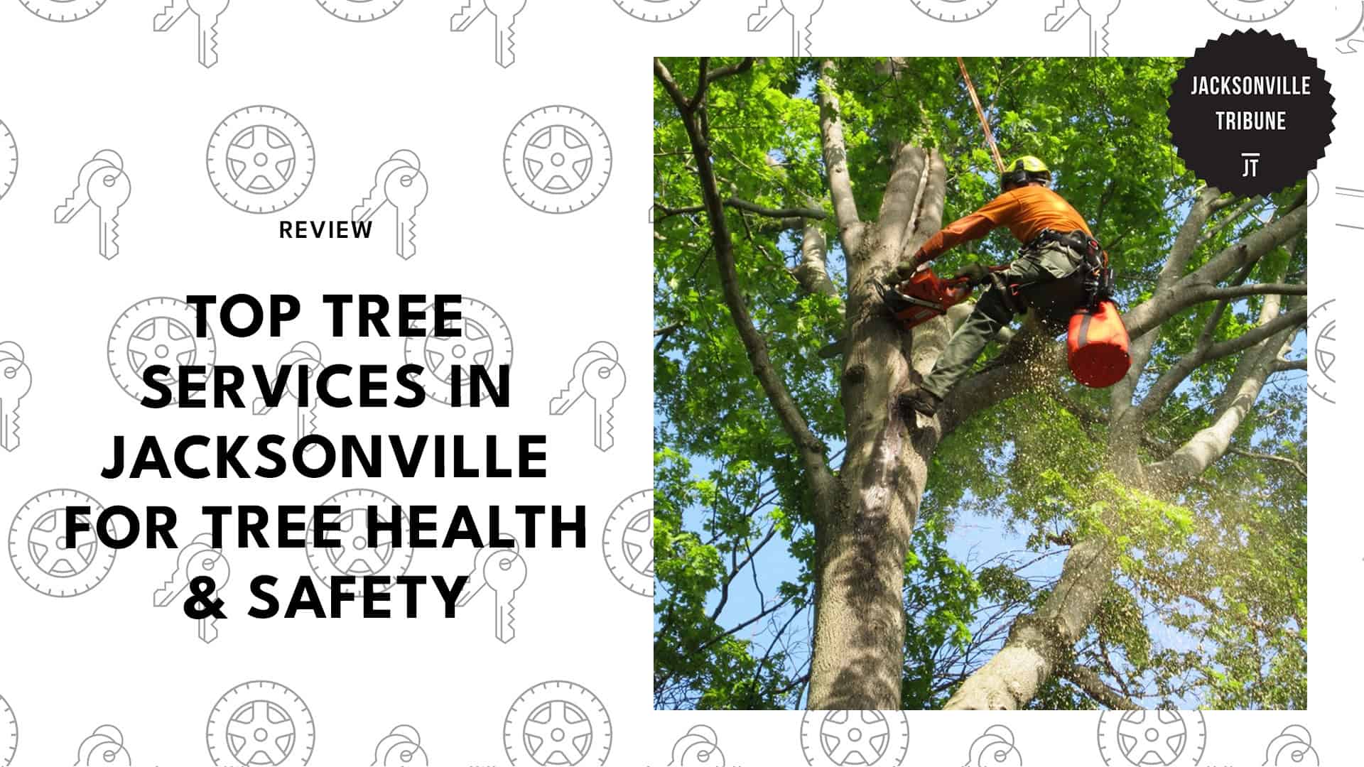 tree-service-jacksonville