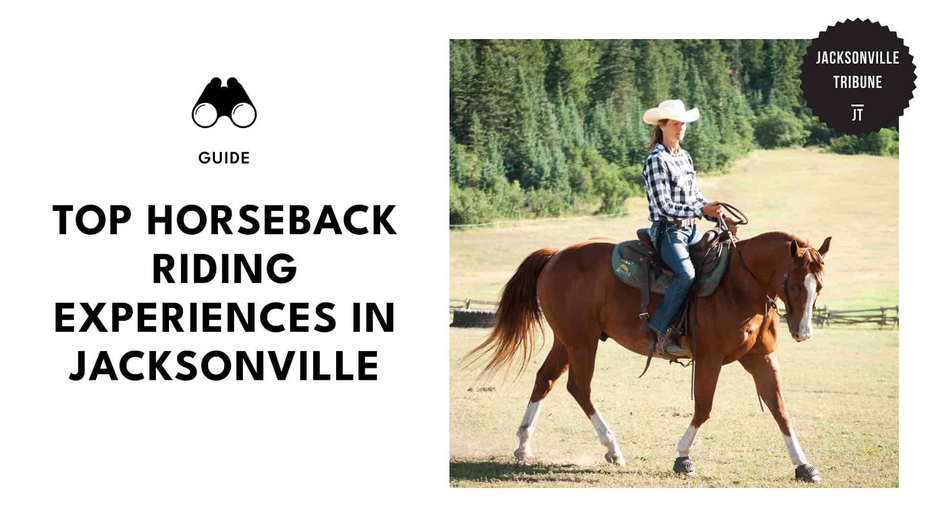 spots-for-horseback-riding-in-jacksonville