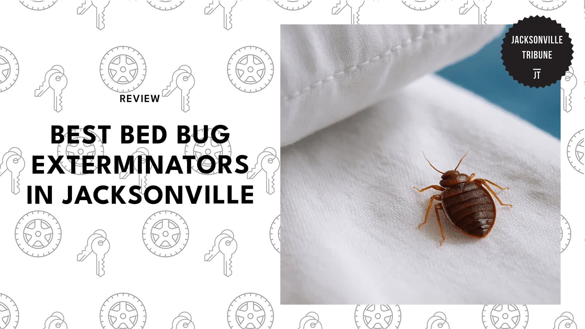 bed-bug-exterminators-in-jacksonville