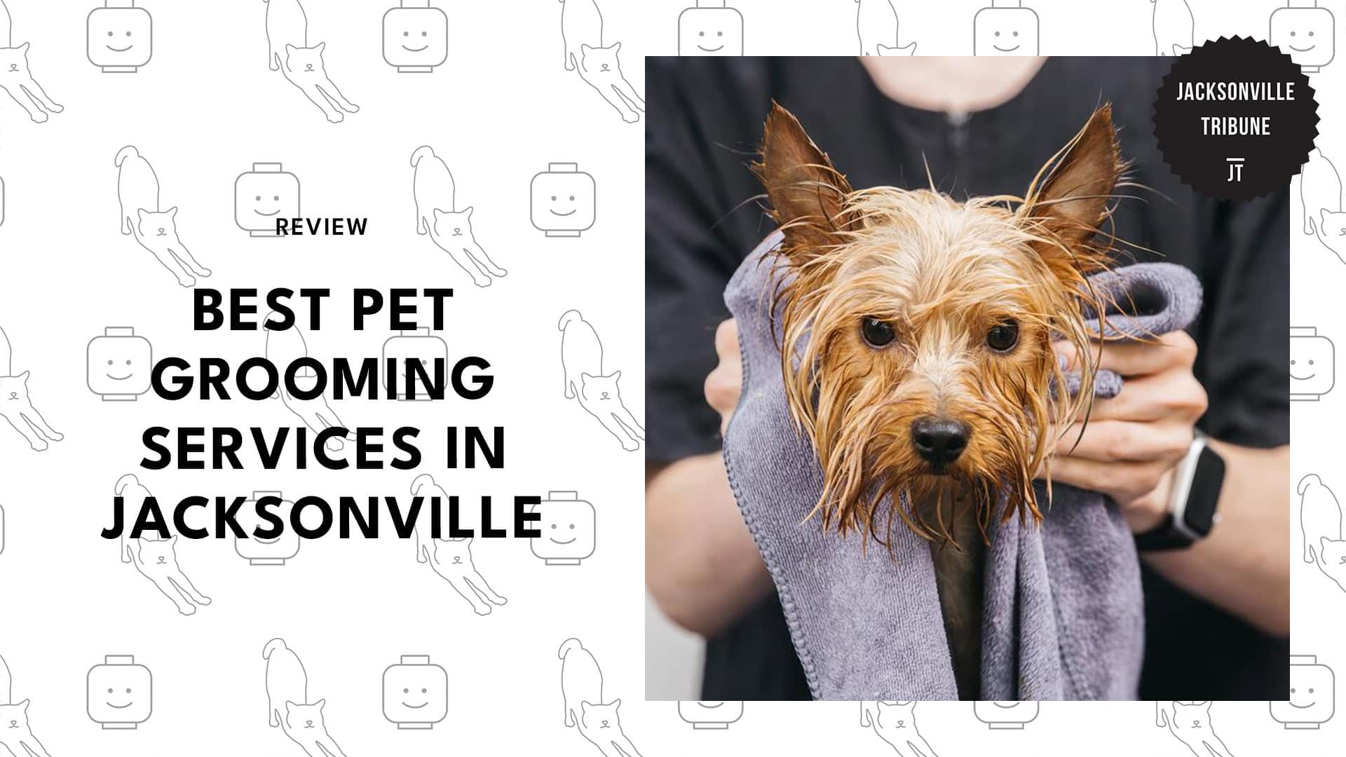 pet-grooming-services-in-jacksonville