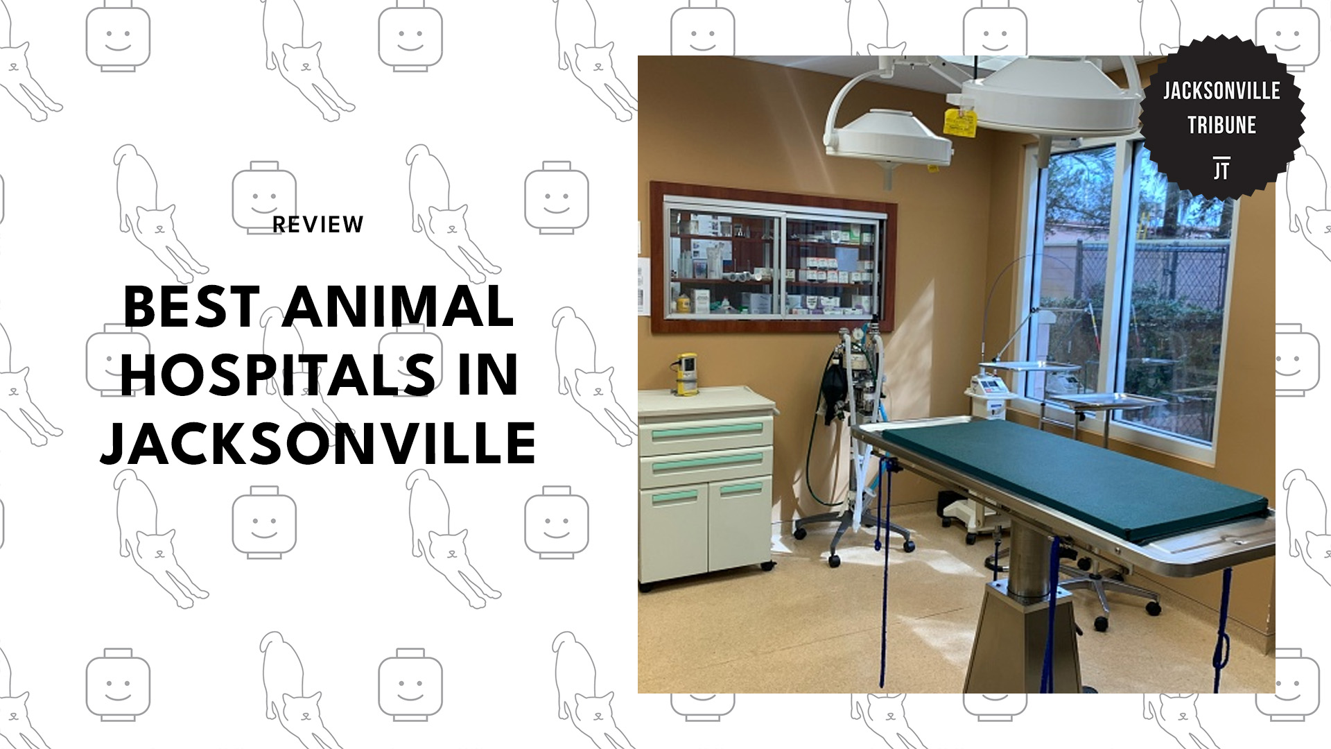 best-animal-hospitals-jacksonville-banner