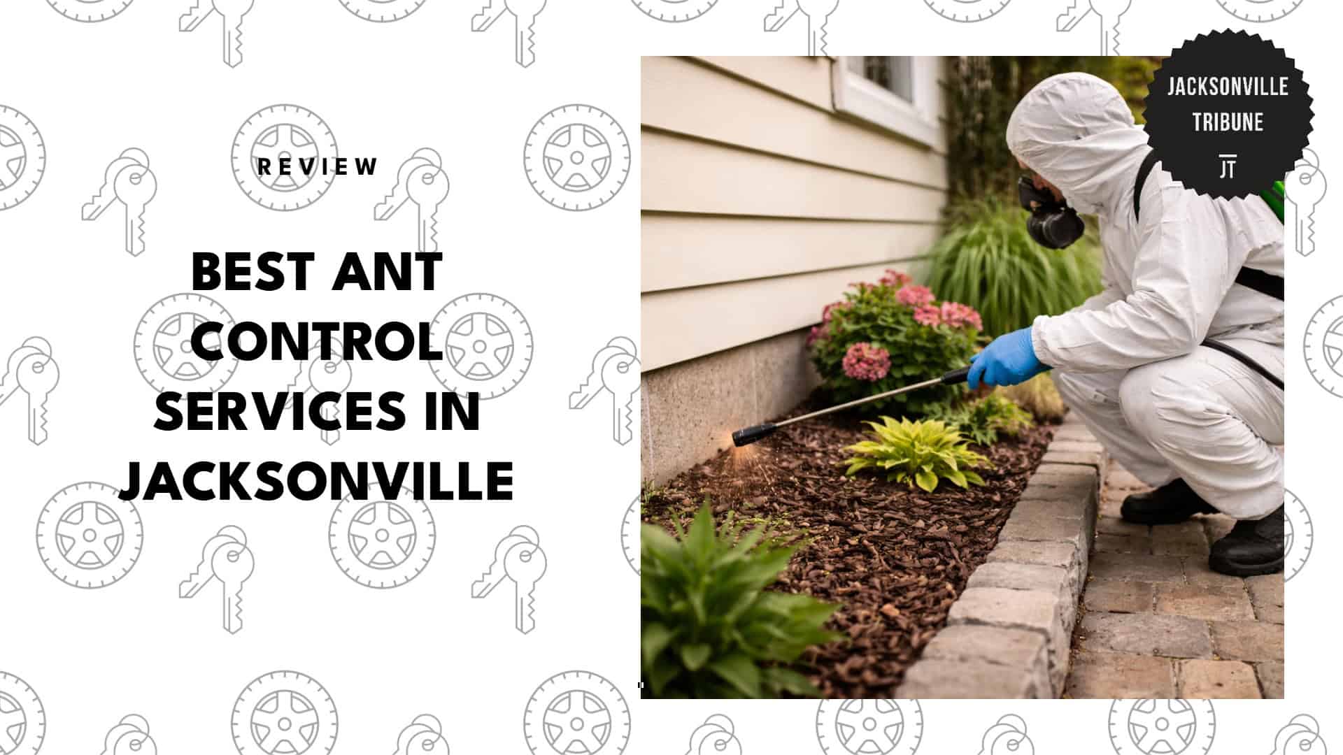best-ant-control-jacksonville