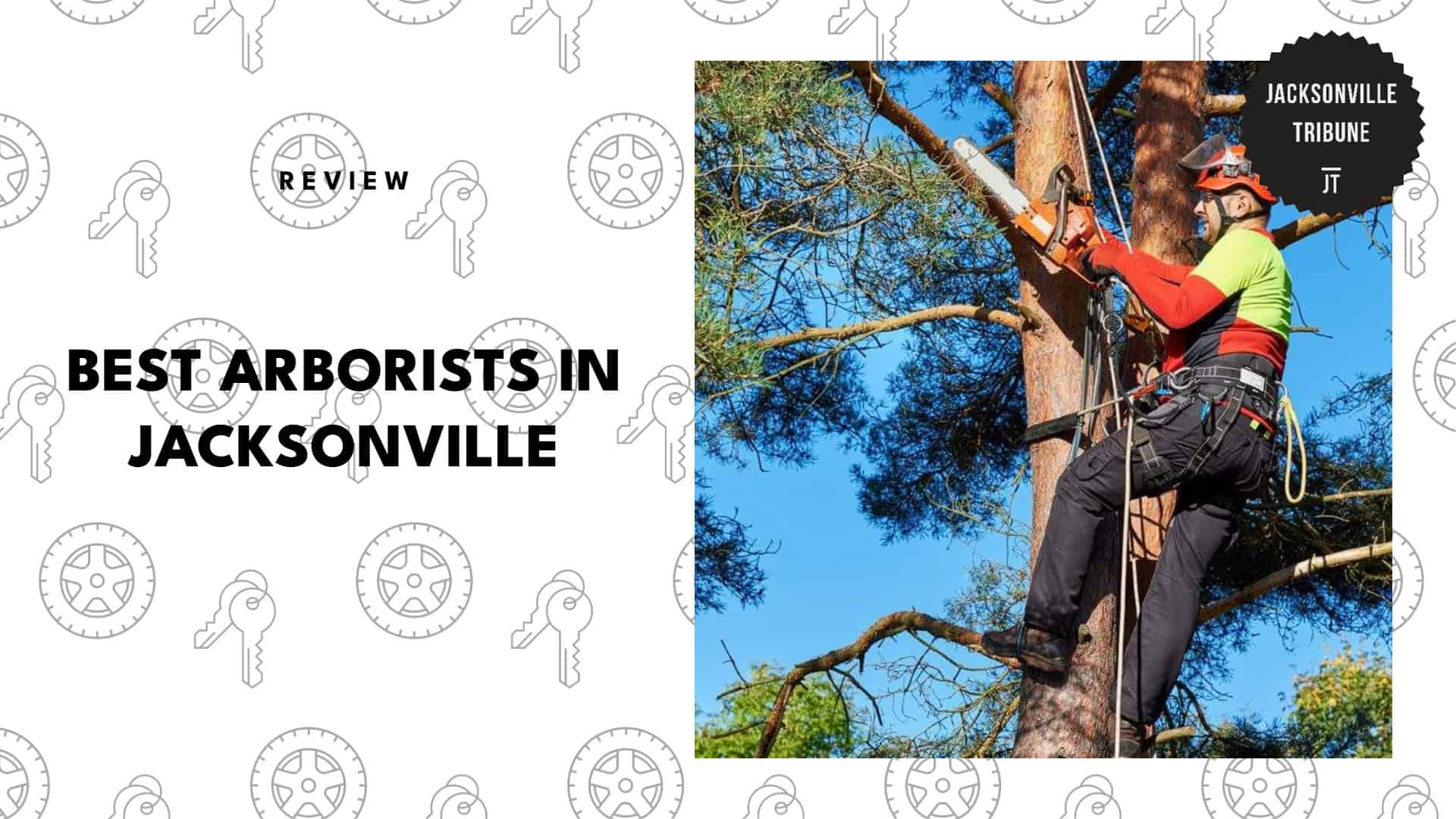 best-arborists-jacksonville-banner