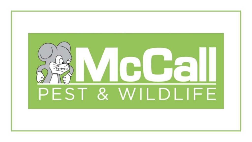 mccall-pest-wildlife-jacksonville